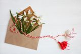 1742728546_shutterstock_2425916983.jpg